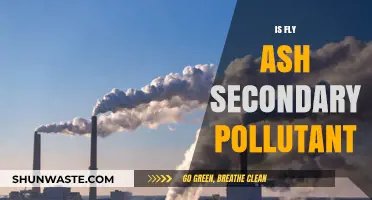 Fly Ash: Secondary Pollutant or Not?