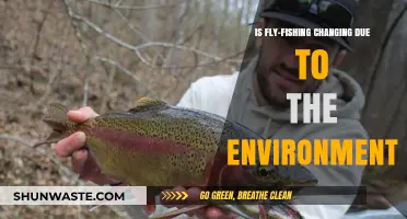 Environmental Shifts: How Fly-Fishing Adapts to Changing Ecosystems