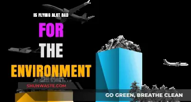Flying Frequently: Environmental Impact and Sustainable Travel Alternatives