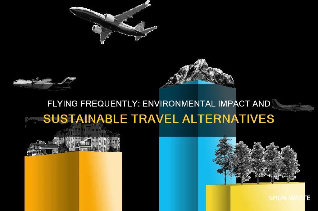 is flying alot bad for the environment