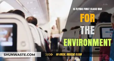 First Class Flights: Luxury Travel's Environmental Impact Explored