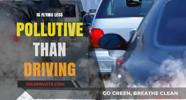 Green Travel: Flying vs. Driving
