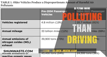 Green Travel: Flying vs. Driving — Which Is Greener?
