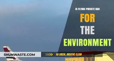 Private Jets vs. Planet: Environmental Impact of Luxury Air Travel