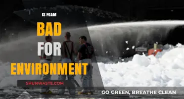 Is Foam Eco-Friendly? Uncovering Its Environmental Impact and Sustainability