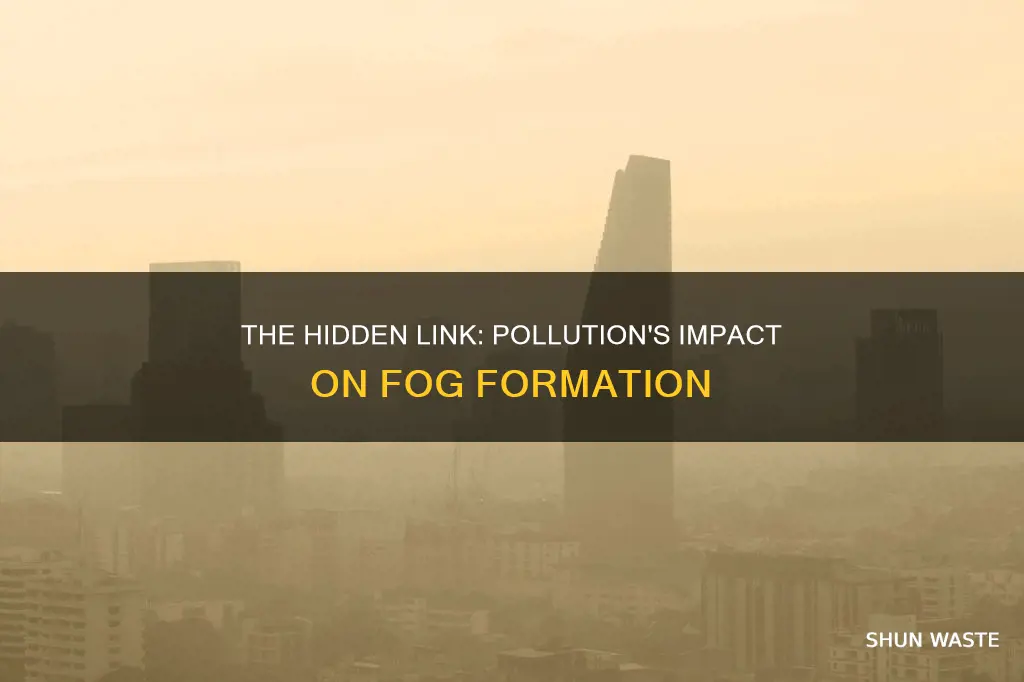 is fog caused by pollution