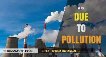 How Does Pollution Cause Fog?