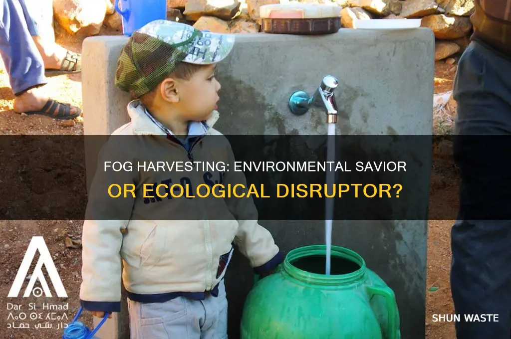 is fog harvesting good or bad for the environment