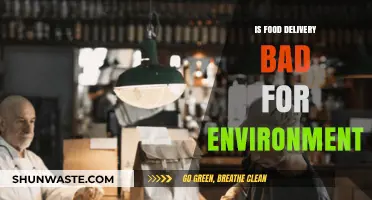 Food Delivery's Environmental Impact: Sustainable or Harmful Choice?