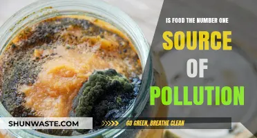 Food's Pollution Footprint: Is It the Main Culprit?