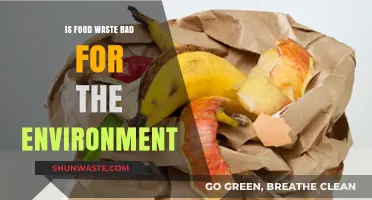 Food Waste's Environmental Impact: A Growing Crisis We Can't Ignore