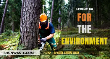 Forestry's Environmental Impact: Sustainable Practice or Ecological Threat?