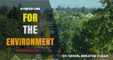 Forestry's Environmental Impact: Benefits, Challenges, and Sustainable Practices Explored