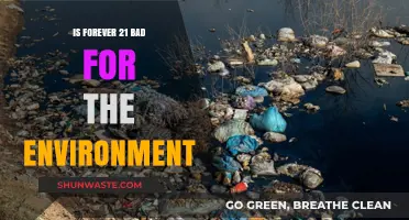 Forever 21's Environmental Impact: Fast Fashion's Hidden Ecological Cost