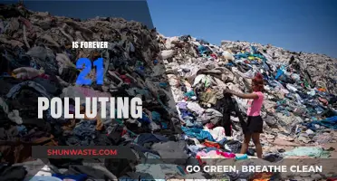 Forever 21's Environmental Impact: Is It Polluting Our Planet?
