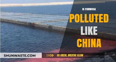 Formosa's Pollution Crisis: China's Twin?