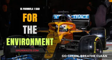 Formula 1's Environmental Impact: Sustainable Future or Ecological Concern?