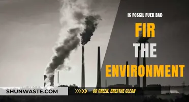 Fossil Fuels' Environmental Impact: Harmful Effects and Sustainable Alternatives