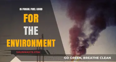 Fossil Fuels: Environmental Impact, Sustainability, and Future Alternatives Explored