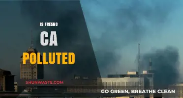 Fresno's Pollution Problem: Is the Air Safe?