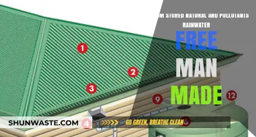 Natural Rainwater: Pure or Polluted?
