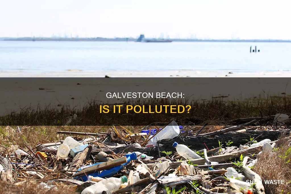 is galveston beach polluted