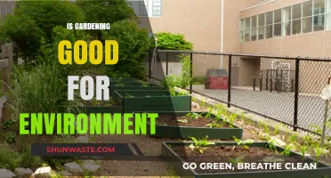 Gardening's Green Impact: How Cultivating Plants Benefits Our Environment