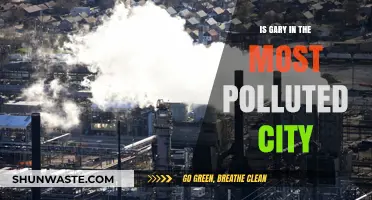 Gary's City: Is It the Most Polluted?