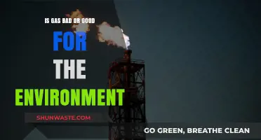 Gas and the Environment: Uncovering Its True Impact on Our Planet