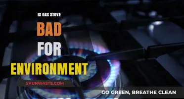 Gas Stoves vs. Environment: Uncovering the Hidden Ecological Impact