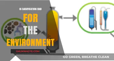 Gasification's Environmental Impact: A Sustainable Solution or Ecological Threat?