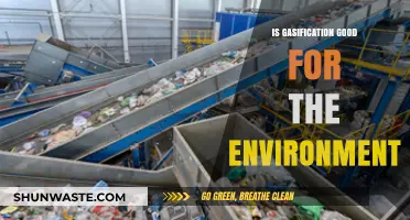 Gasification's Environmental Impact: A Sustainable Solution or Greenwashing?