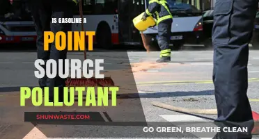 Gasoline: Point Source Pollution and Its Impact