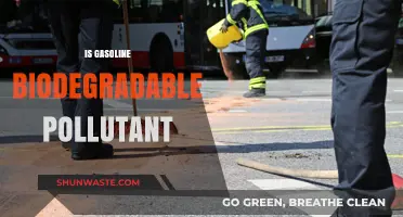 The Mystery of Gasoline: Biodegradable or Pollutant?