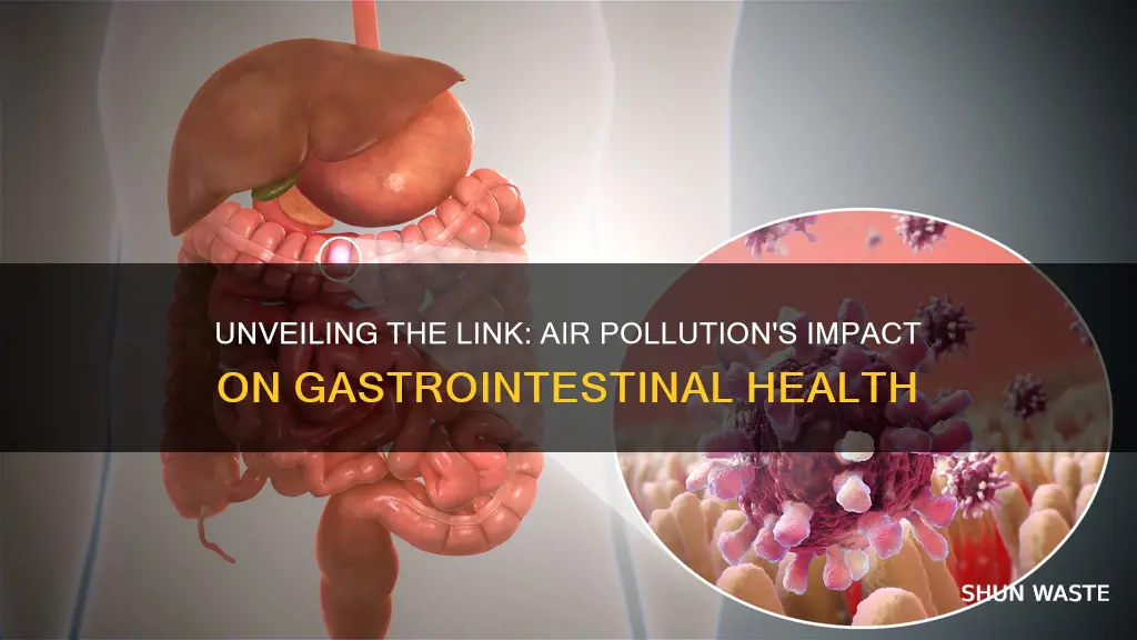 is gastrointestinal illness caused by air pollution