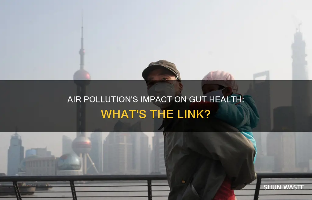 is gastrointestinal illness caused by air pollution