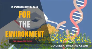Genetic Engineering: Environmental Savior or Ecological Risk?