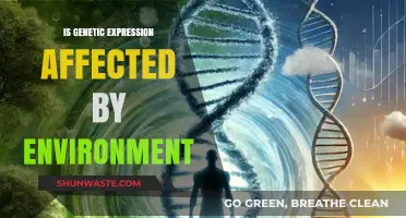 How Environmental Factors Shape Genetic Expression: Unraveling the Complex Relationship