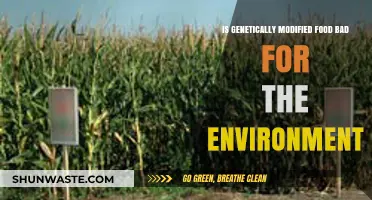 Genetically Modified Foods: Environmental Impact and Sustainability Concerns