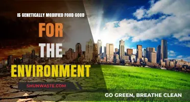Genetically Modified Foods: Environmental Savior or Ecological Threat?