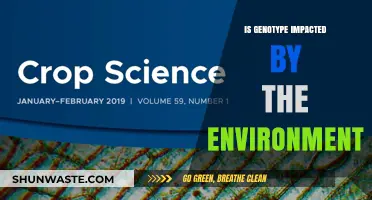 How Environmental Factors Influence Your Genetic Makeup: Exploring Genotype-Environment Interactions