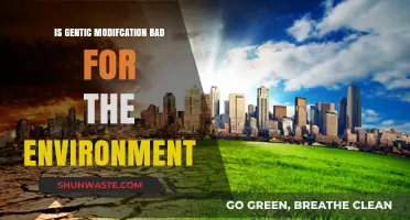 Genetic Modification: Environmental Ally or Ecological Threat?