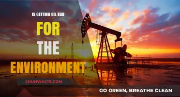 Environmental Impact of Oil Extraction: Harmful Effects and Sustainable Alternatives
