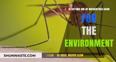 Mosquito Eradication: Environmental Boon or Ecological Imbalance?