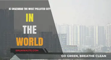 Ghaziabad's Air: World's Most Polluted?