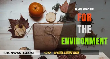 Eco-Friendly Gift Wrap: Unwrapping the Environmental Impact of Paper and Plastics