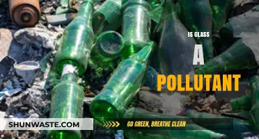 Glass Pollution: Is It a Growing Environmental Concern?