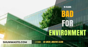 Is Glass Eco-Friendly? Uncovering Its Environmental Impact and Sustainability