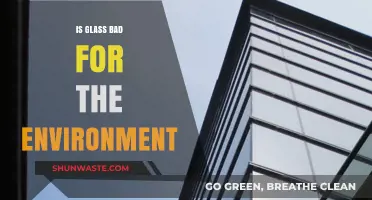 Glass and the Environment: Uncovering Its Eco-Friendly or Harmful Impact