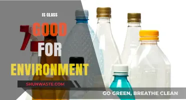 Glass vs. Plastic: Which is the Eco-Friendlier Choice for Our Planet?